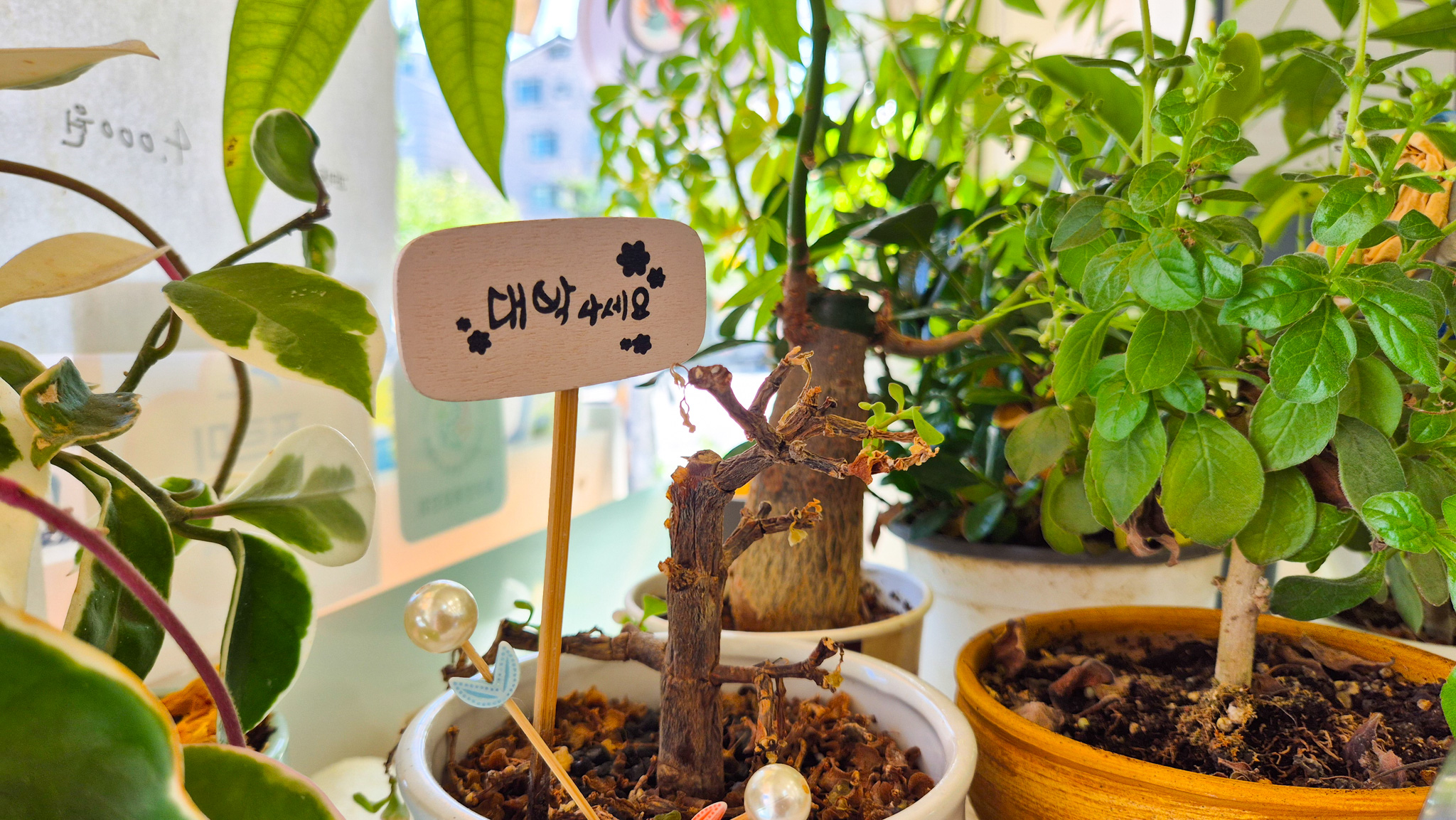 국수리김밥골 장소2