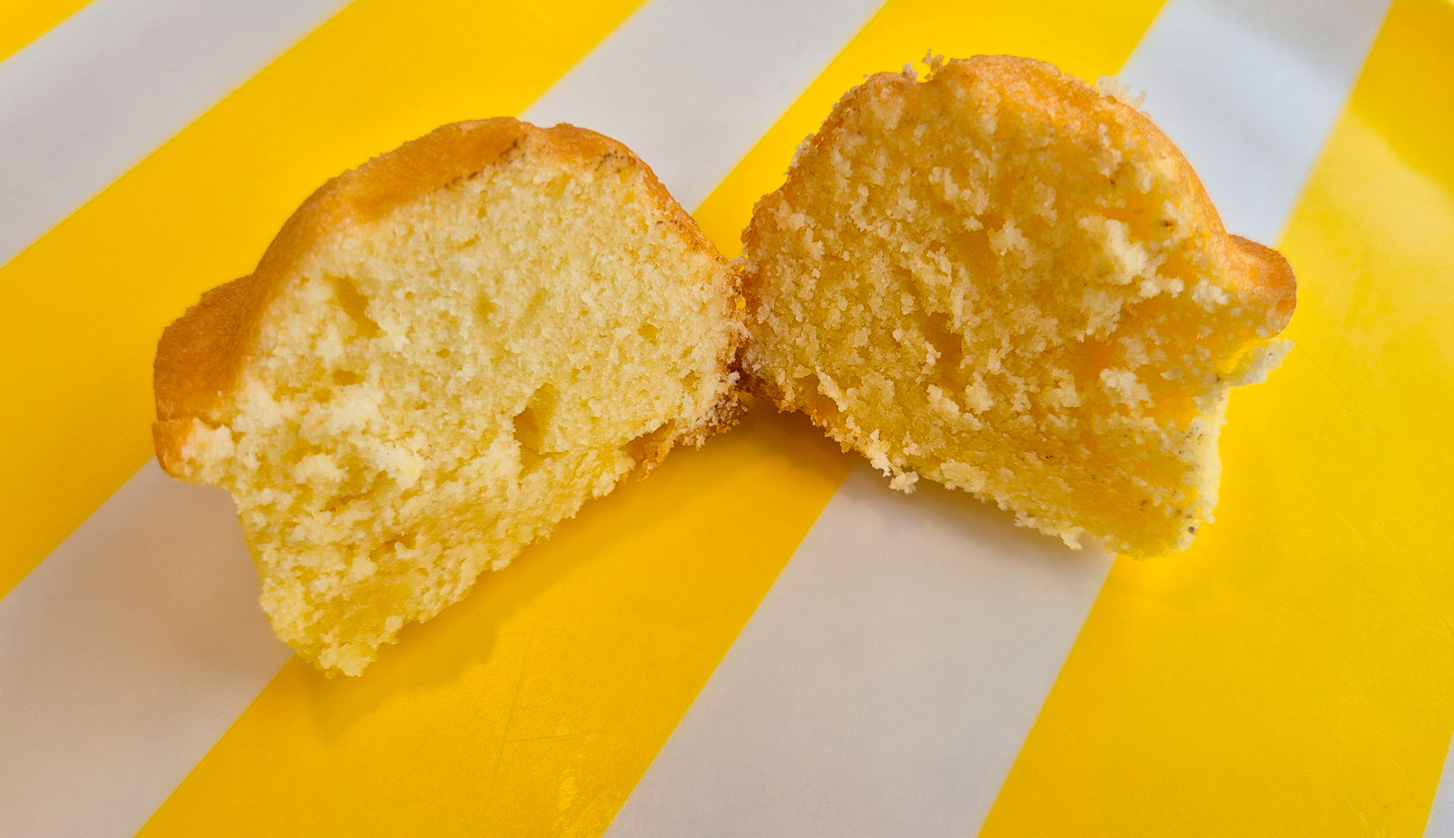 무당벌래마들렌3